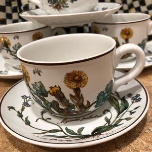 NEW 4 Villeroy & Boch Botanica Flat  Cup & Saucer Set VINTAGE NEW 1984